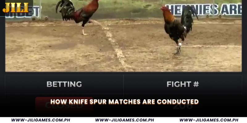 How Knife Spur Matches Are Conducted