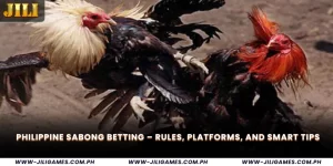 Philippine Sabong Betting