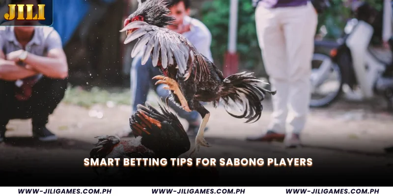 Smart Betting Tips for Sabong Players